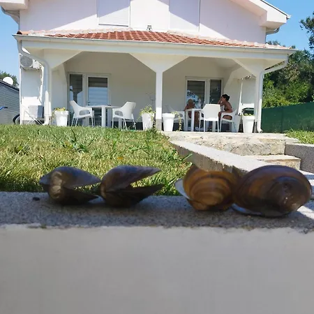 Silverdrop Srebrno Jezero