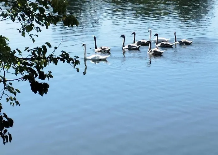 Silverdrop Srebrno Jezero Lejlighed *